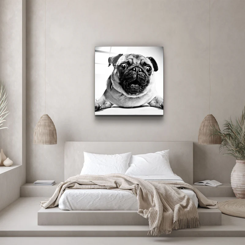 ・"Pug"・Glass Wall Art - Image 3