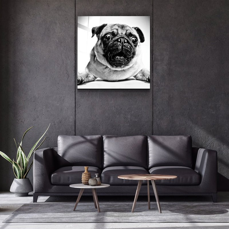 ・"Pug"・Glass Wall Art - Image 2