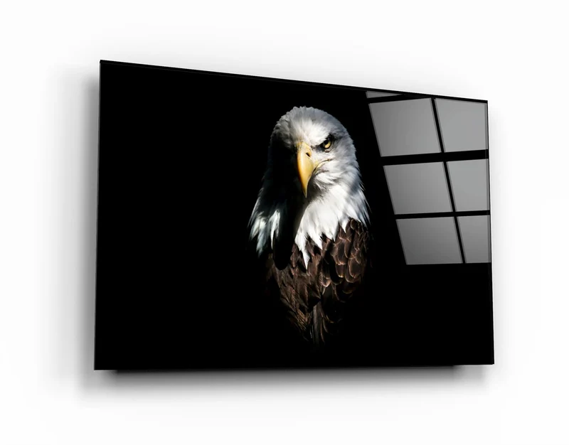 ・"Eagle 1"・Glass Wall Art